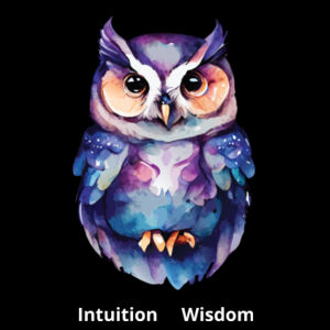  Owl | Kids T Design